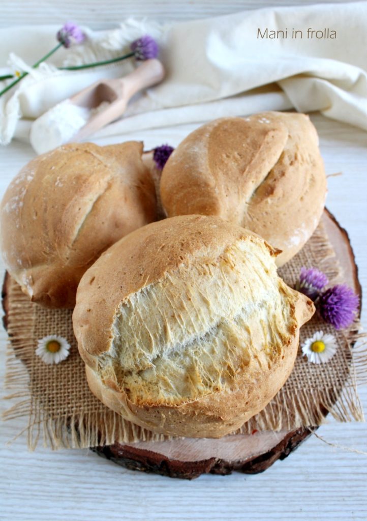 Panecillos tipo Biove hechos en casa