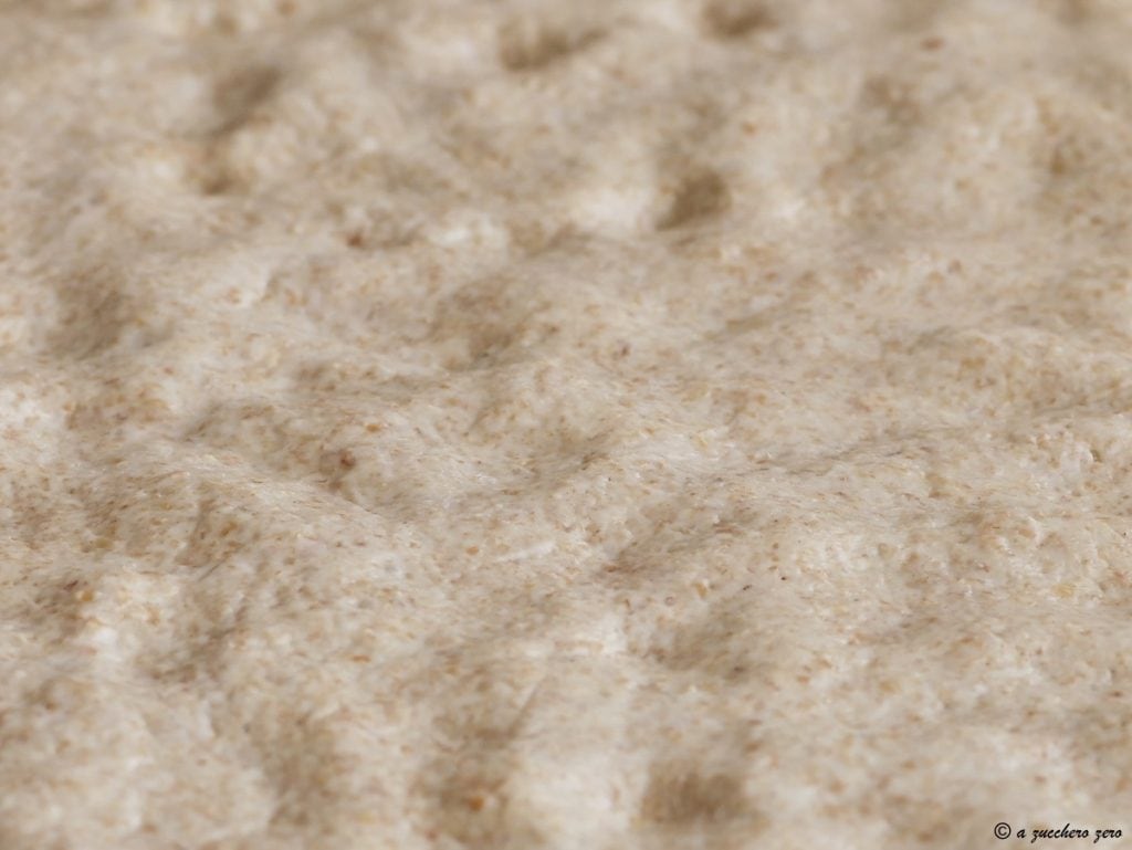 Masa pizza integral fermentación 24 horas