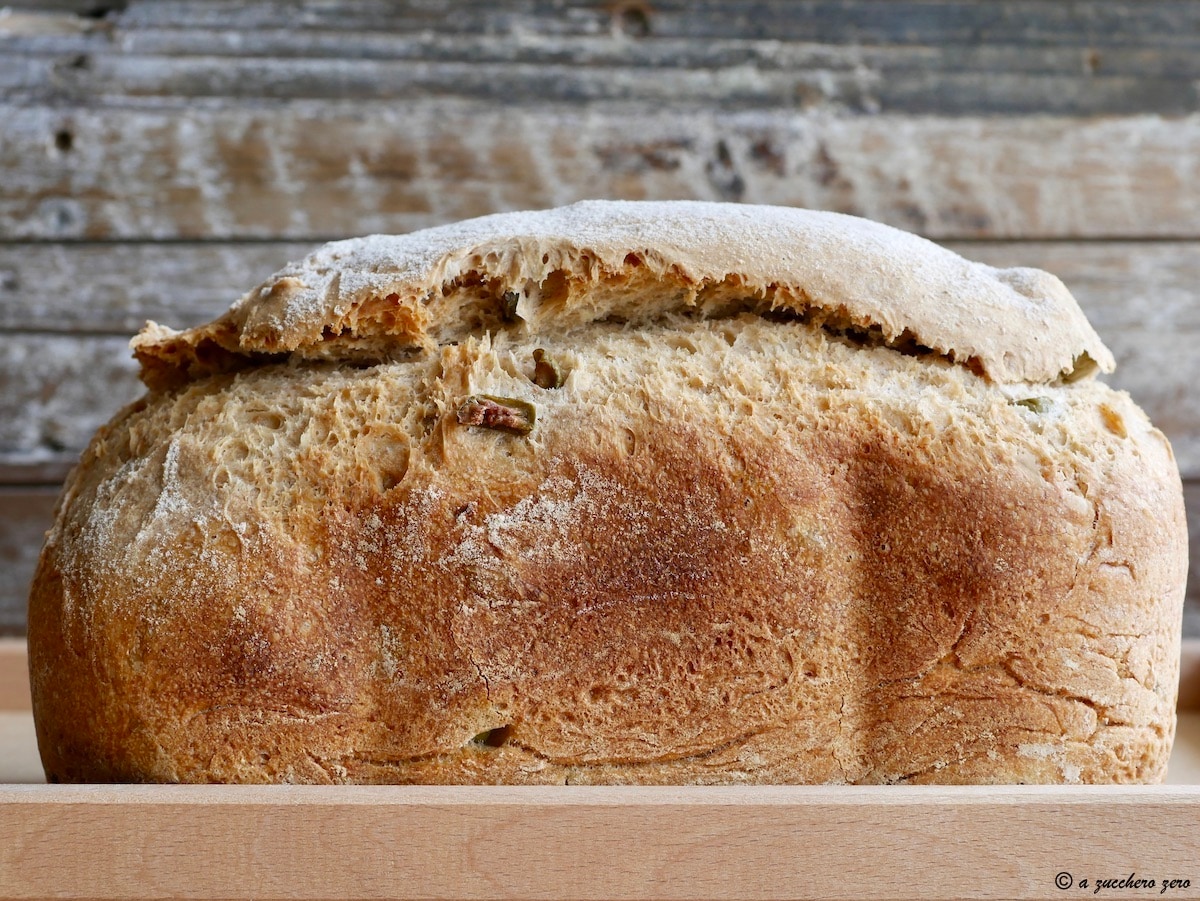 Pan semiintegral con aceitunas en máquina de pan método poolish