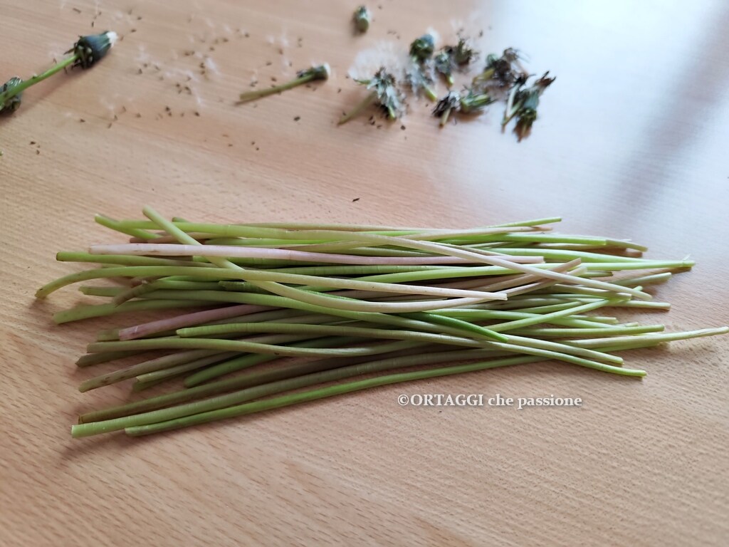 Tallos de Diente de León – recetas inesperadas