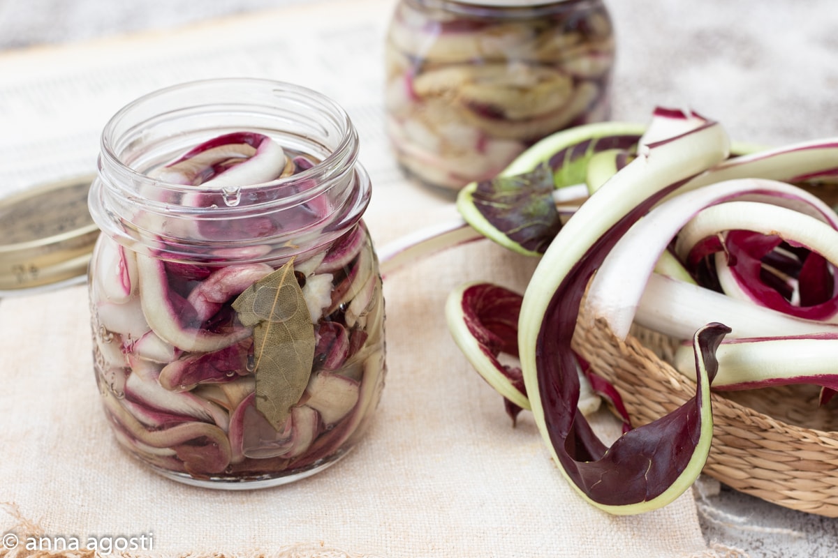 Radicchio di Treviso en aceite
