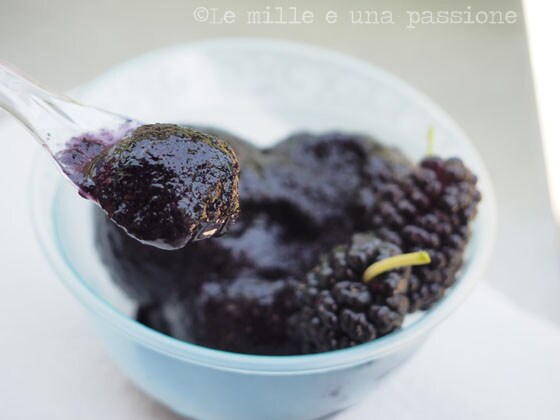 Sorbete de moras negras de morera casero (con o sin heladera)