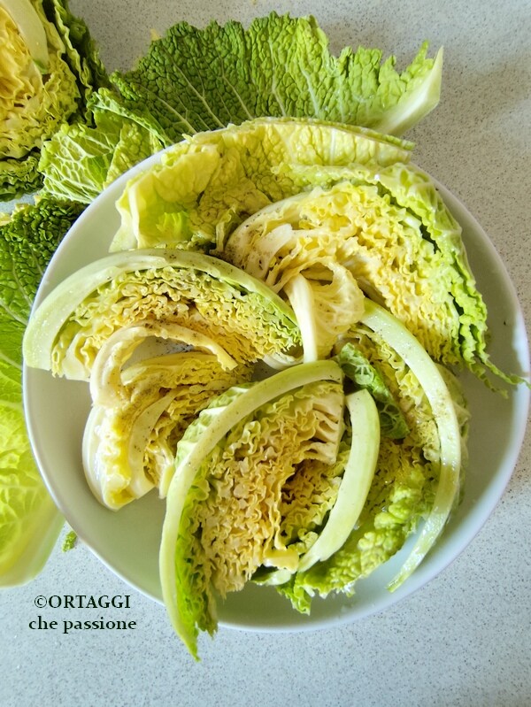 col lombarda lavada en fuente