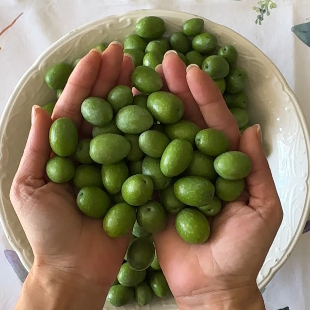 aceitunas verdes amargas cómo endulzarlas
