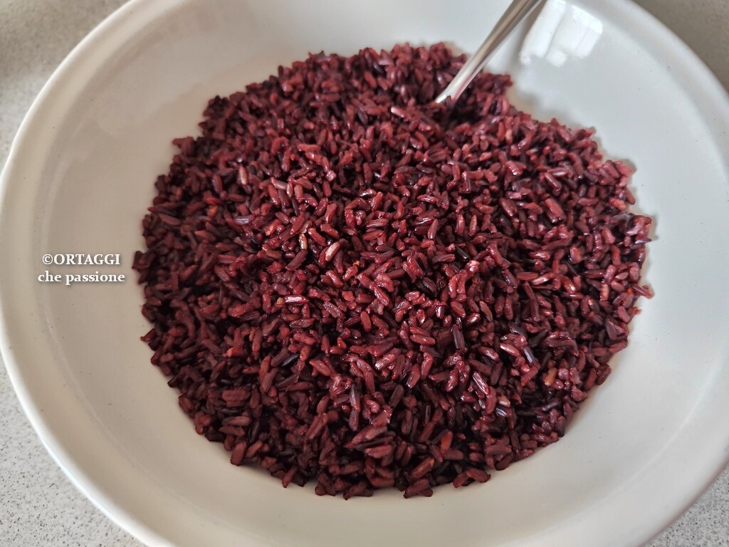 Arroz negro Venere – tipos de cocción