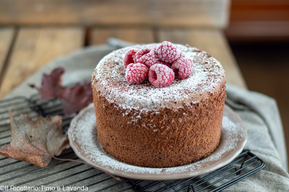 Chiffon cake de cacao