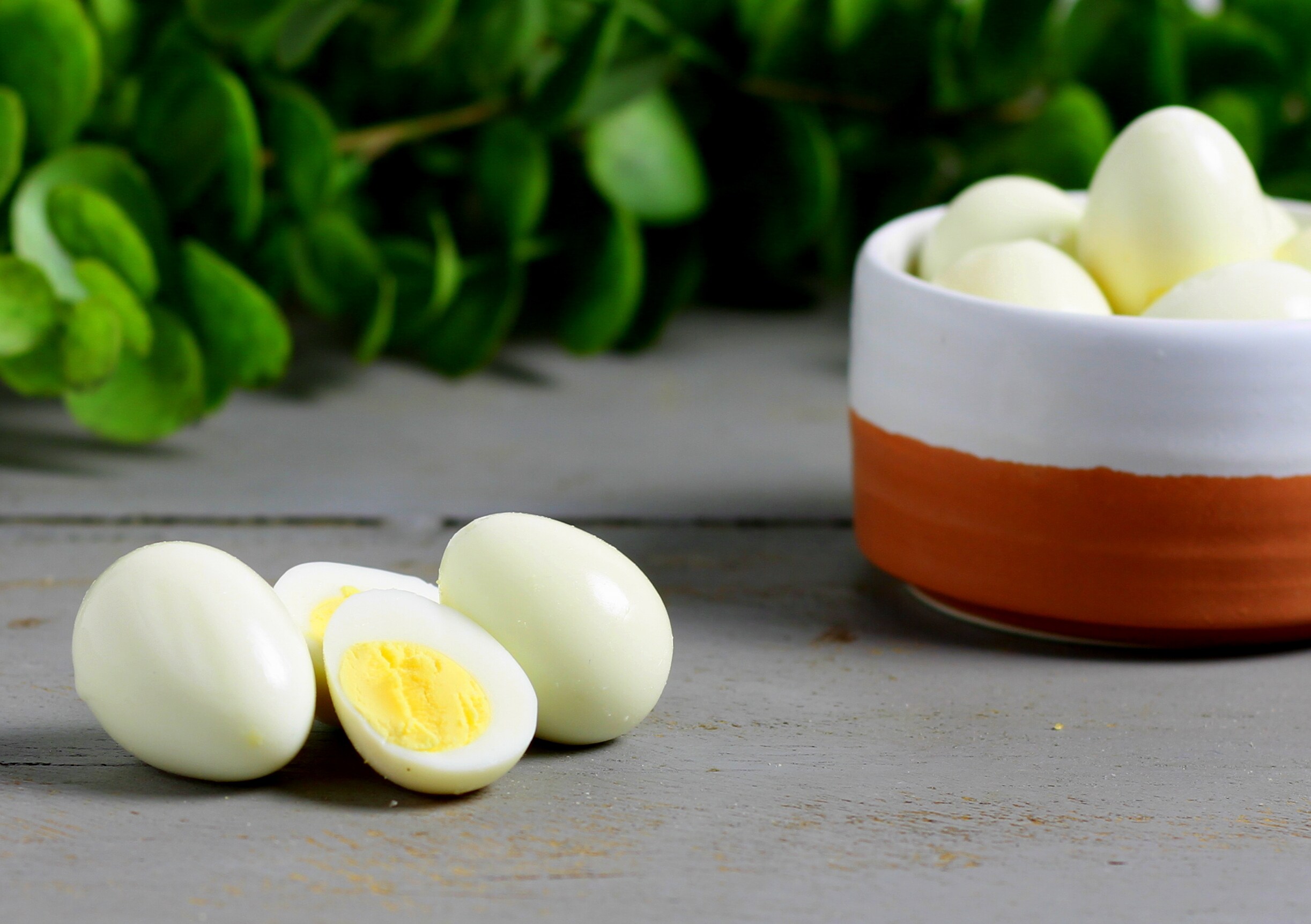 Huevos de codorniz cómo hacerlos duros