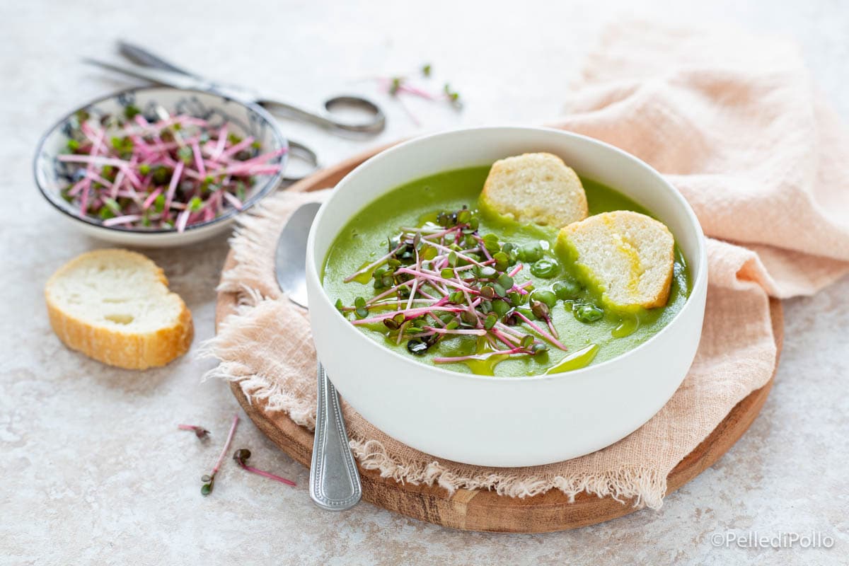 Crema de guisantes con brotes