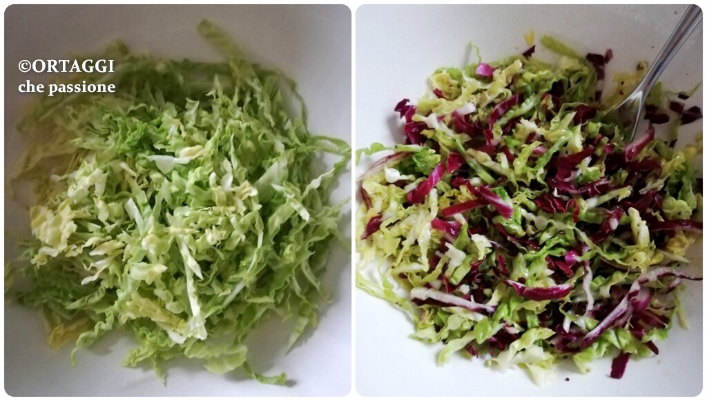 ensalada de col de Milán y radicchio rojo o zanahorias