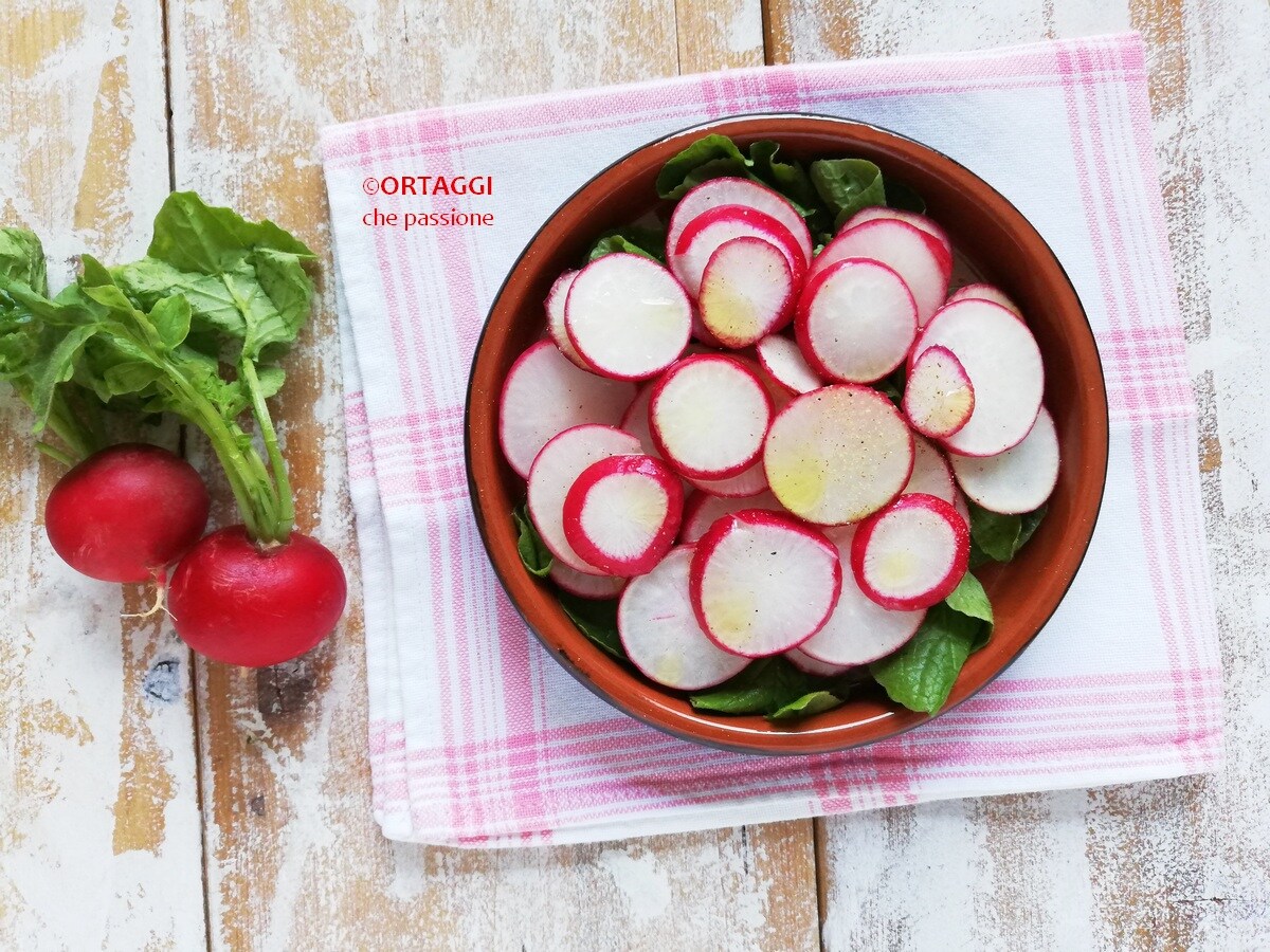Ensalada de rábanos – todas las VARIANTES