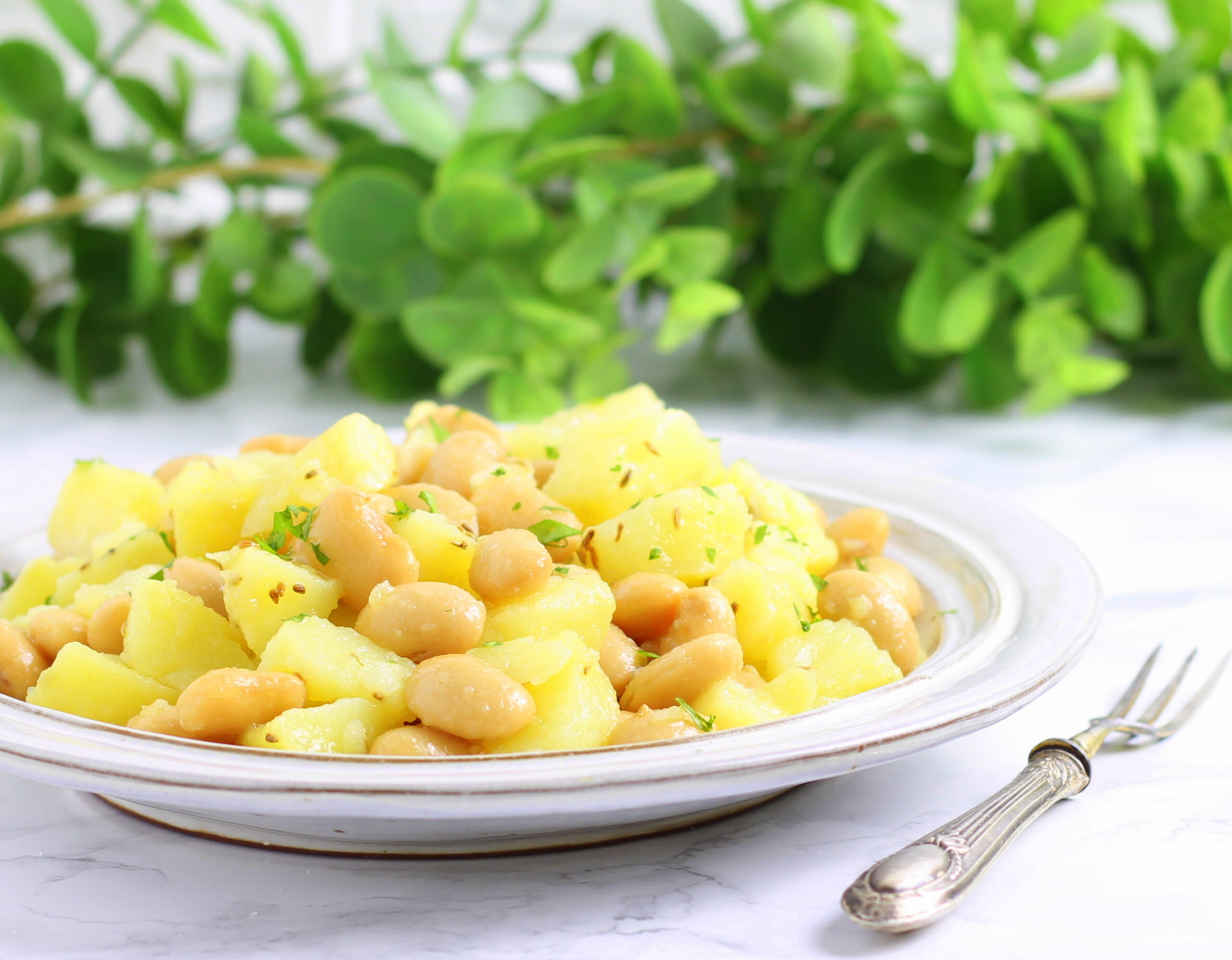 Ensalada de judías de España y patatas