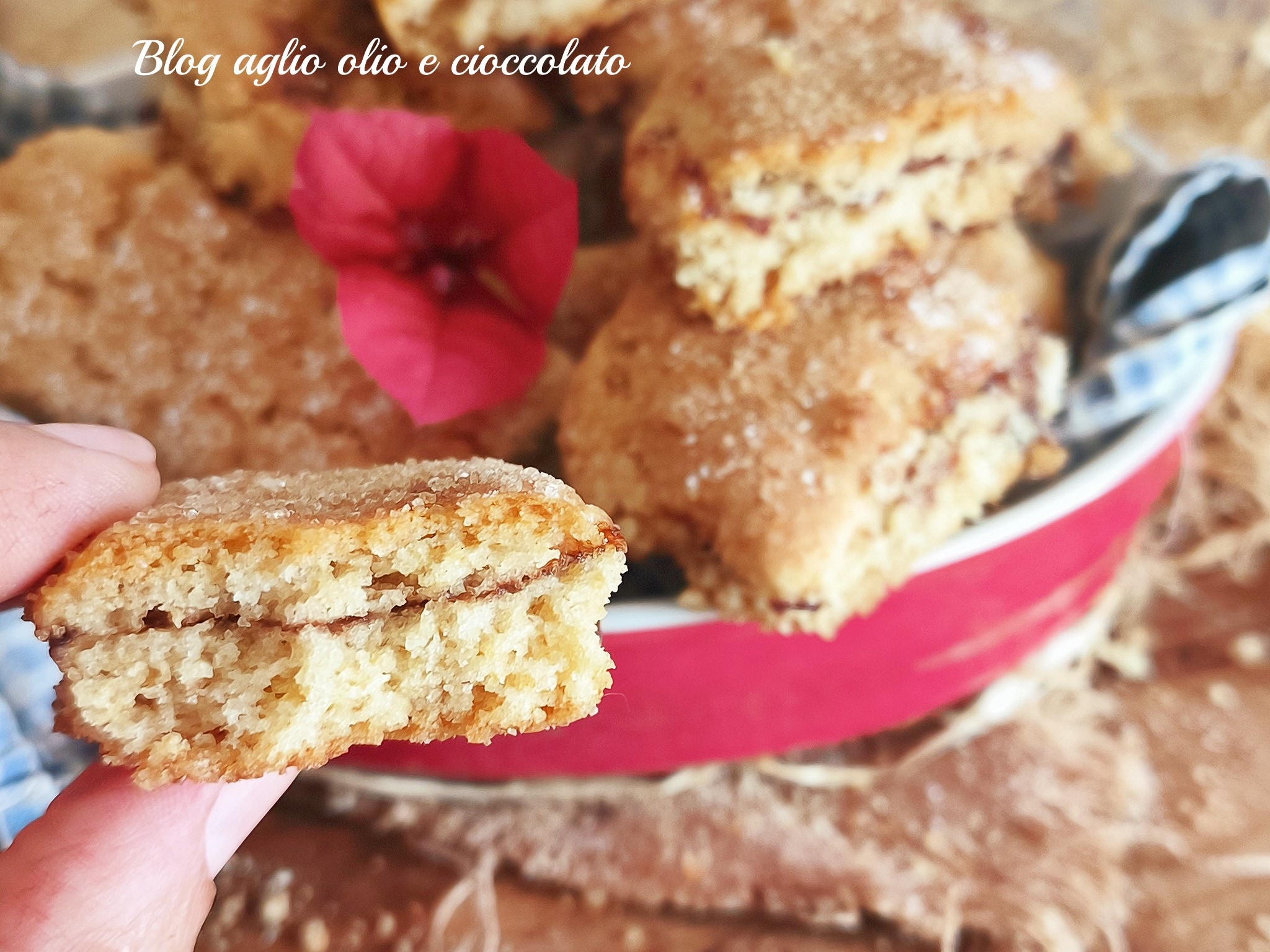 GALLETAS RÚSTICAS CON MERMELADA: la crocantez sin mantequilla ni huevos que siempre conquista a todos
