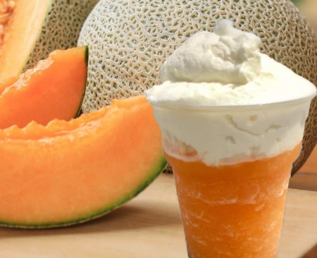 Granizado de melón Cantalupo