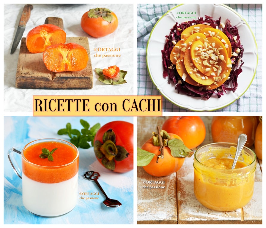 CAQUIS – recetas y periodo