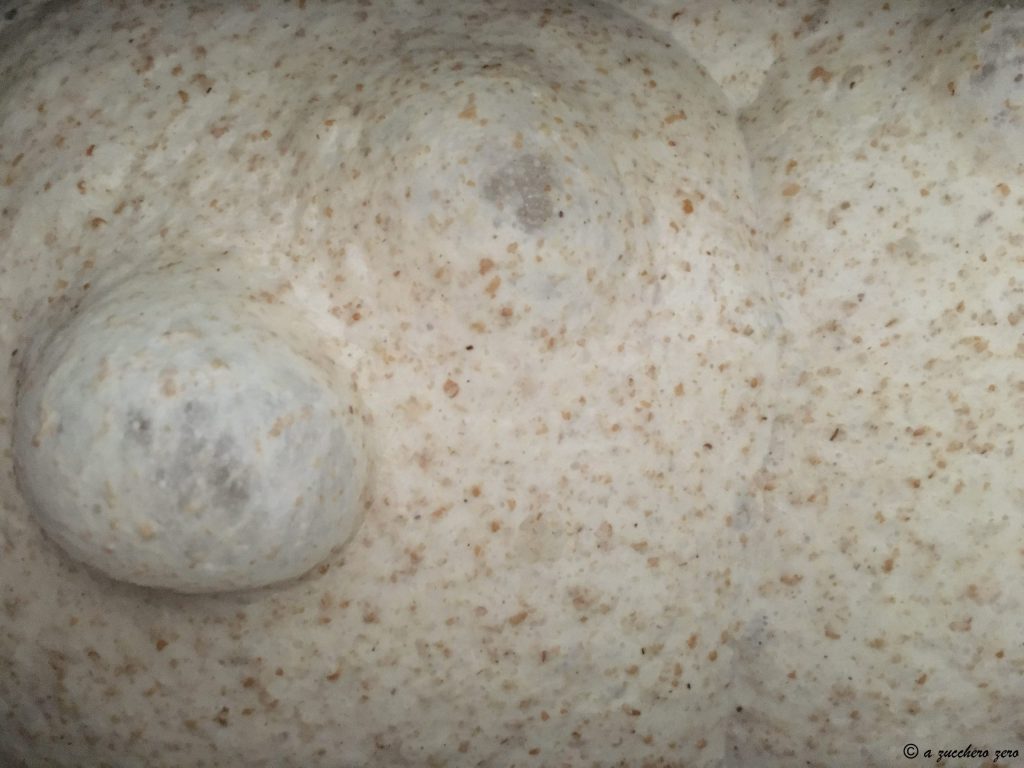 Pan con harina integral de trigo blando y de tipo 2 | máquina de pan y método poolish