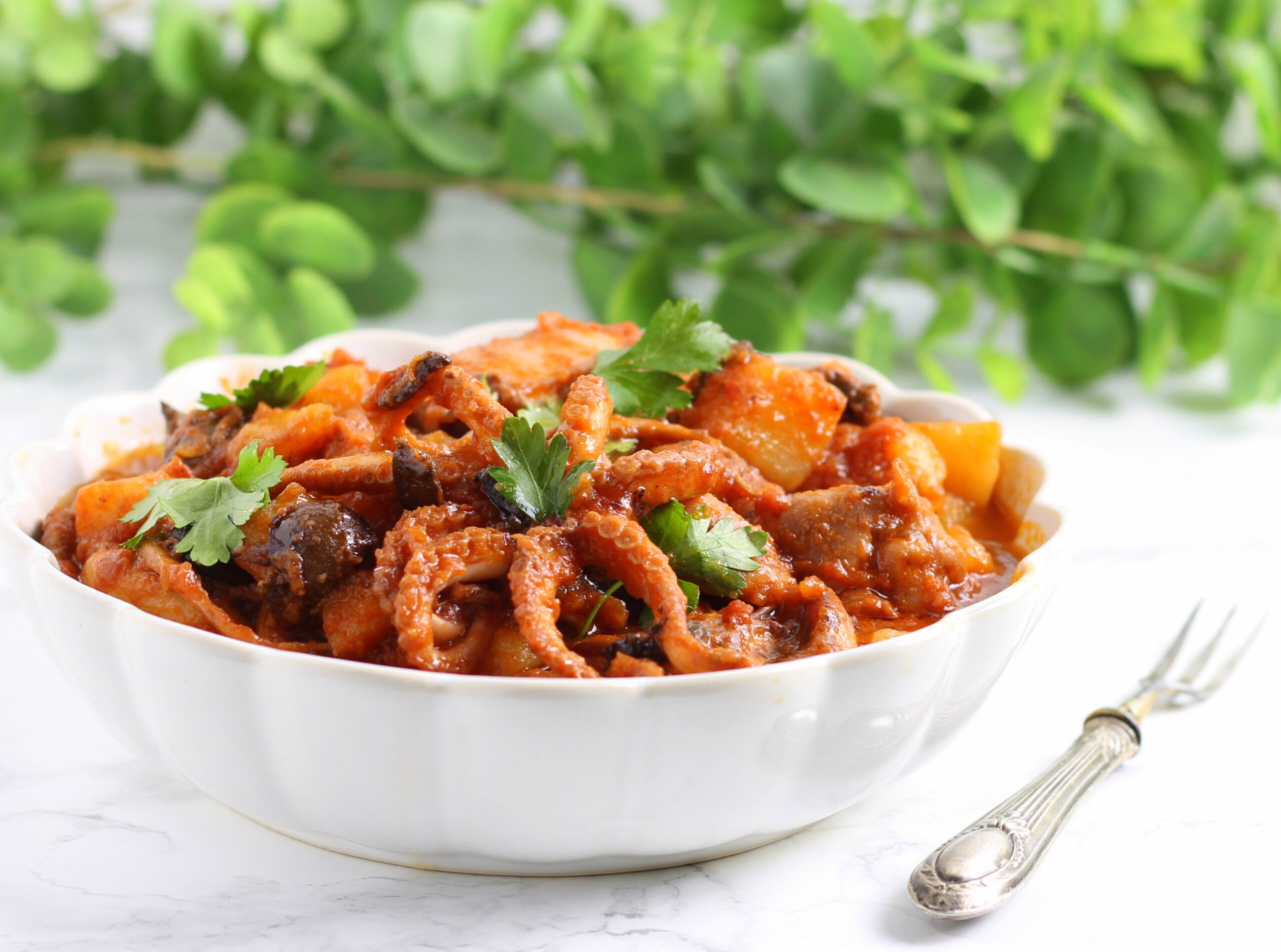 Moscardini tomate patatas y aceitunas