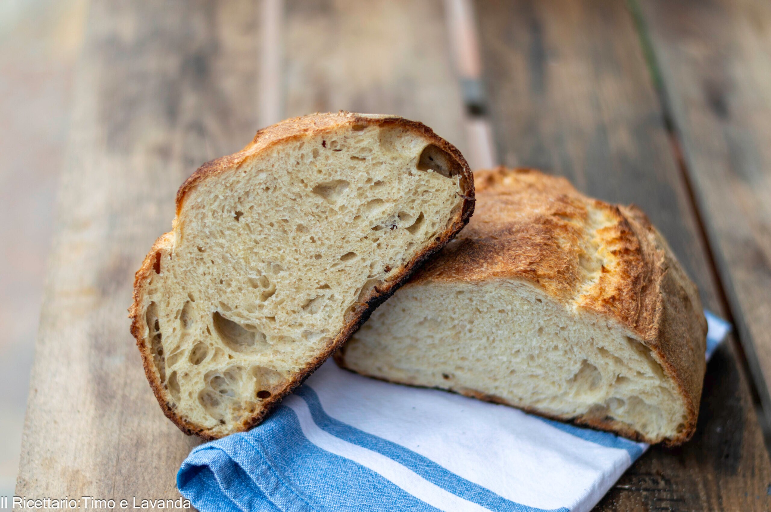 Pan con trigo duro Senatore Cappelli