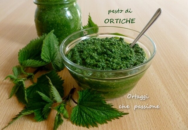 Pesto de ortigas Verduras que pasión por Sara