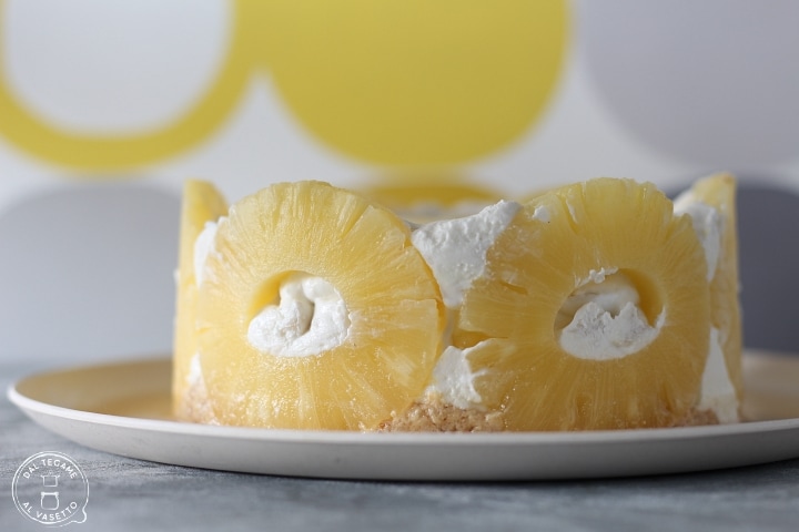 Tarta fría con yogur sin azúcar
