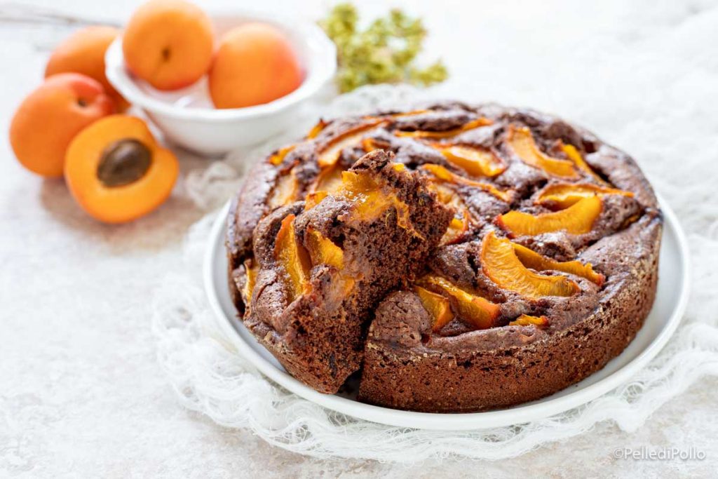 tarta con albaricoques y cacao