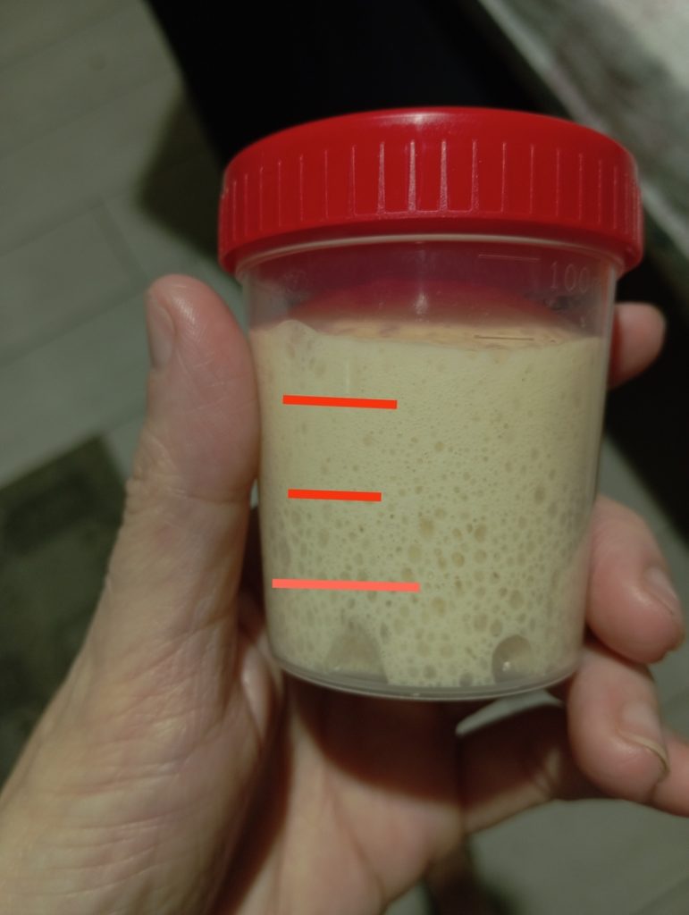 Indicador de leudado