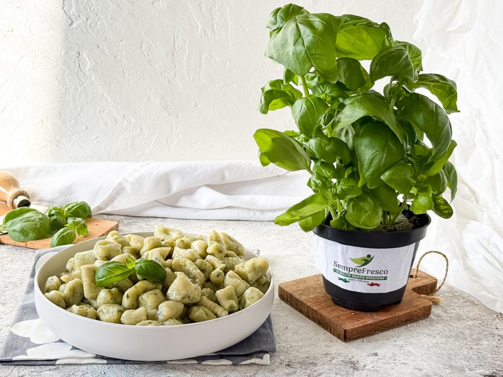 Gnocchi al pesto de albahaca