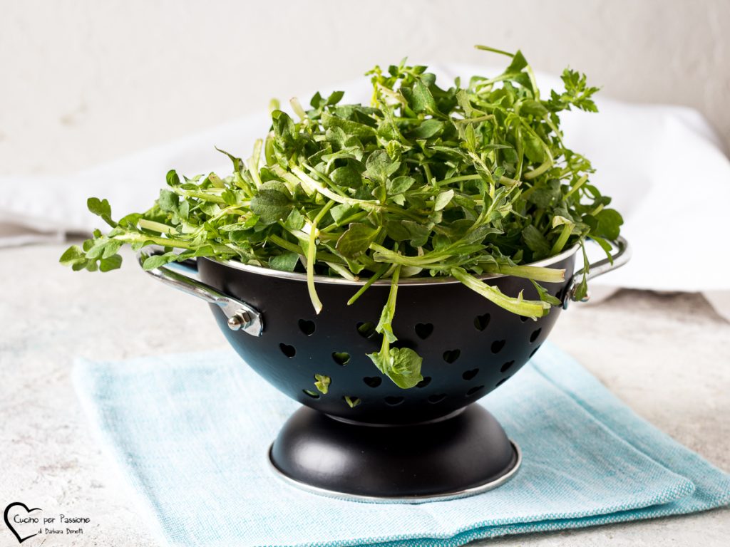 Rosole o rosolete o rosoine