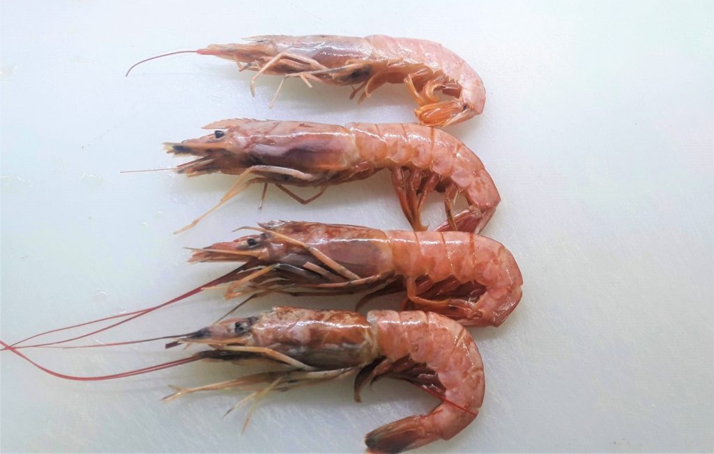 Espaguetis con calabacines con langostinos y bottarga