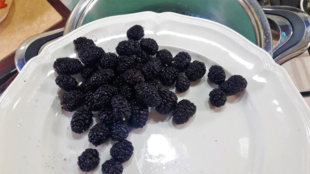 moras