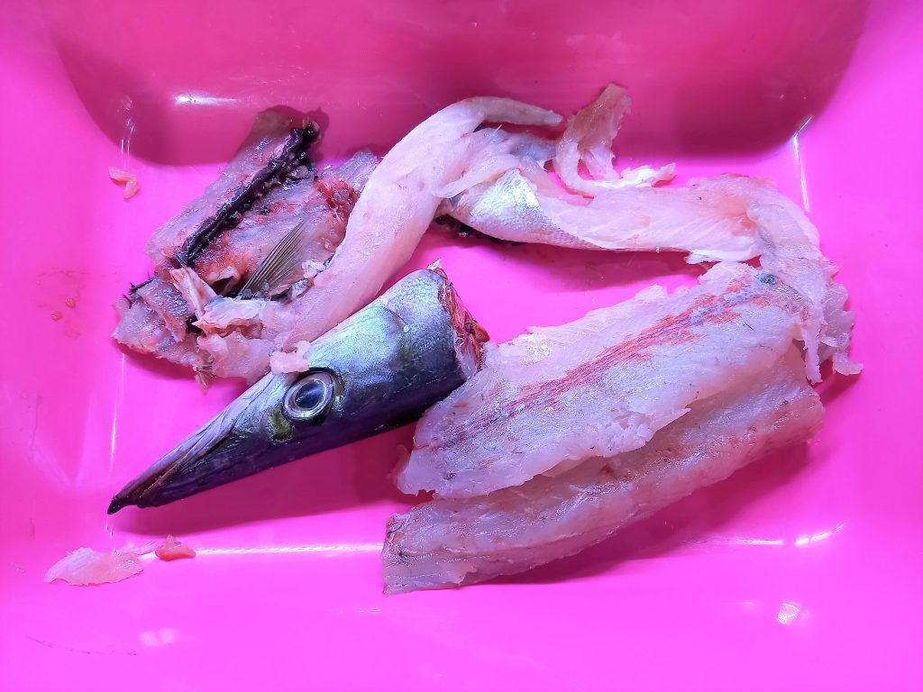 Espaguetada con lucio de mar o barracuda