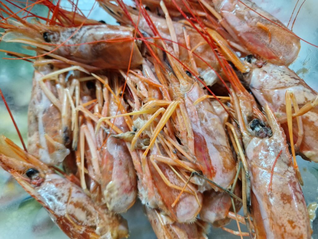 cabezas de gambas