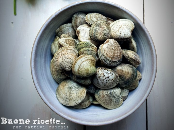Almejas frescas antes de ser limpiadas y cocinadas