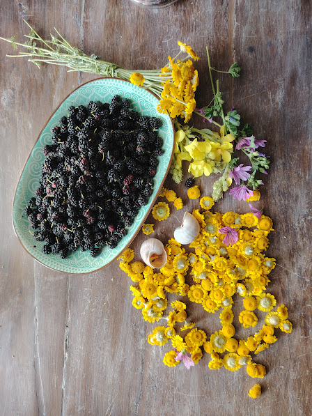 Mostaza picante de moras negras silvestres