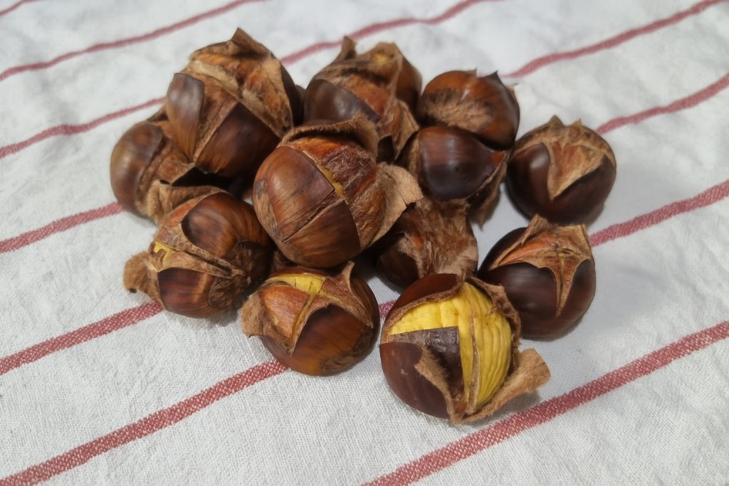 castagne in friggitrice ad aria