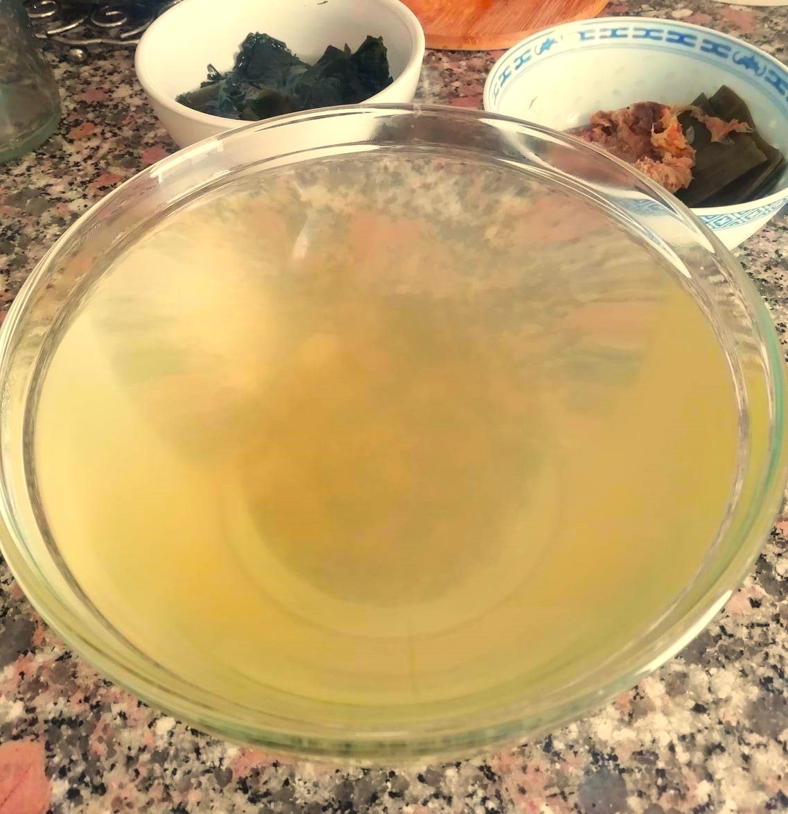 DASHI (caldo de base japonés)