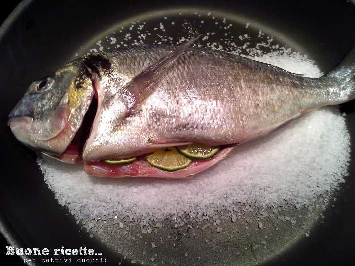 Dorada a la sal