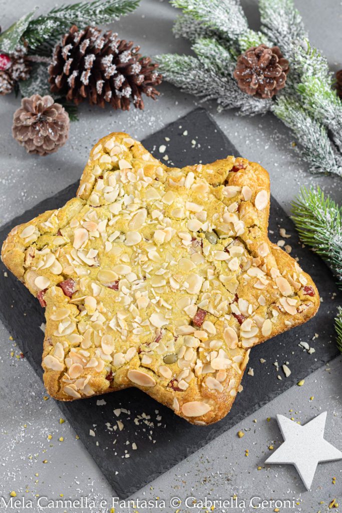 estrella salada entrante de navidad