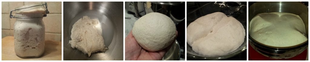 pandolce genovese con masa madre