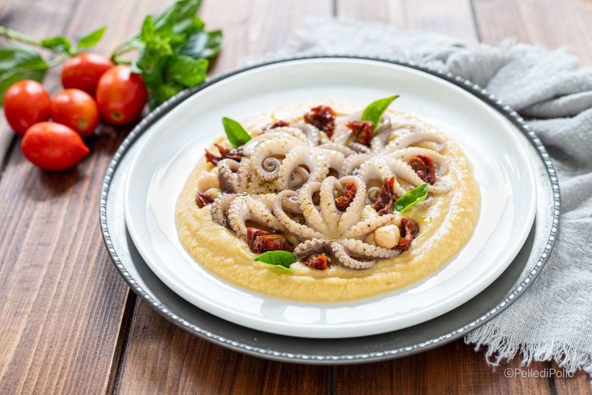 Moscardini sobre crema de garbanzos con tomates secos