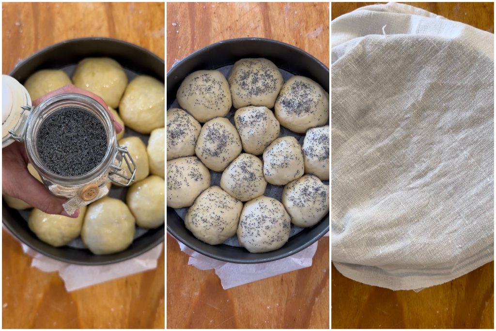 danubio con jamón cocido