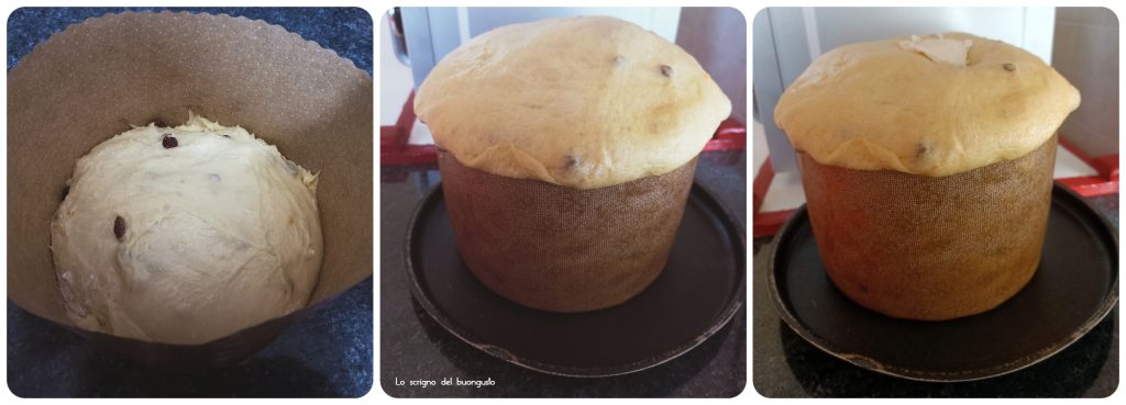 Panettone de Milán clásico