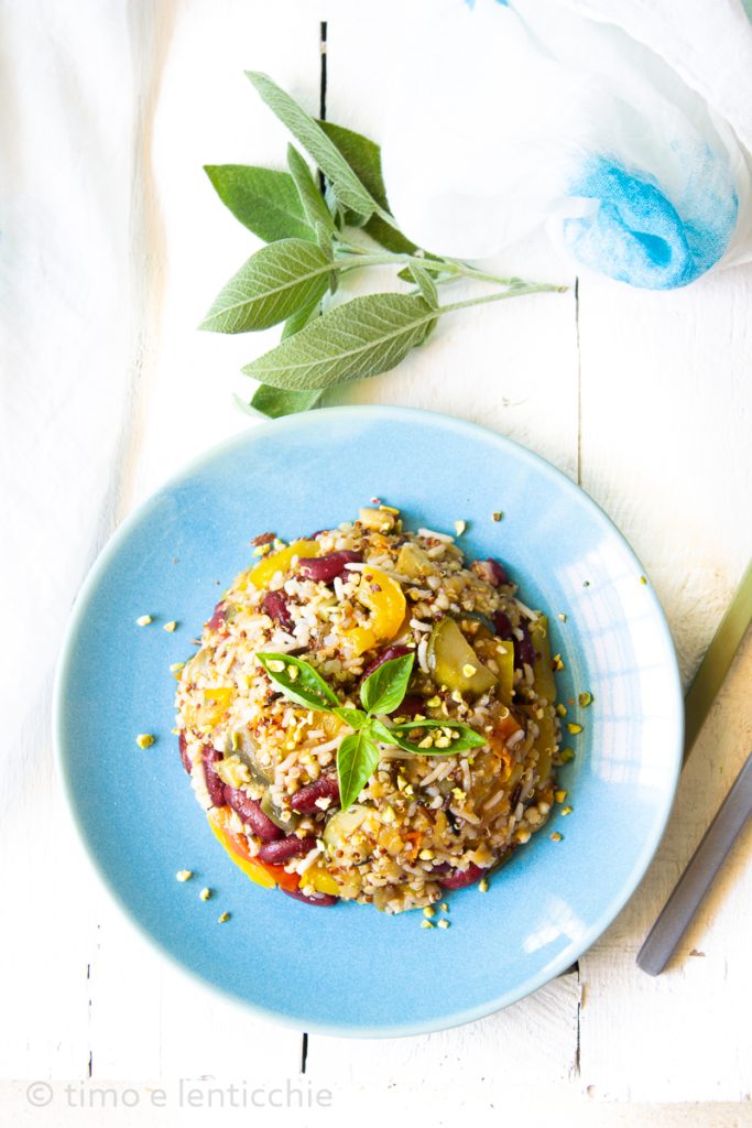 El plato único vegetal