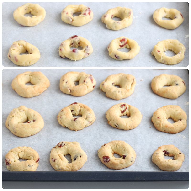 Horneado de galletas con arándanos rojos