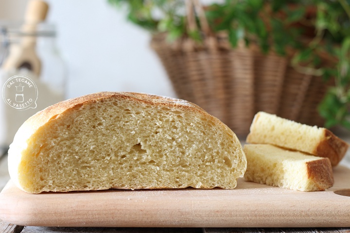 Pan cocido en microondas