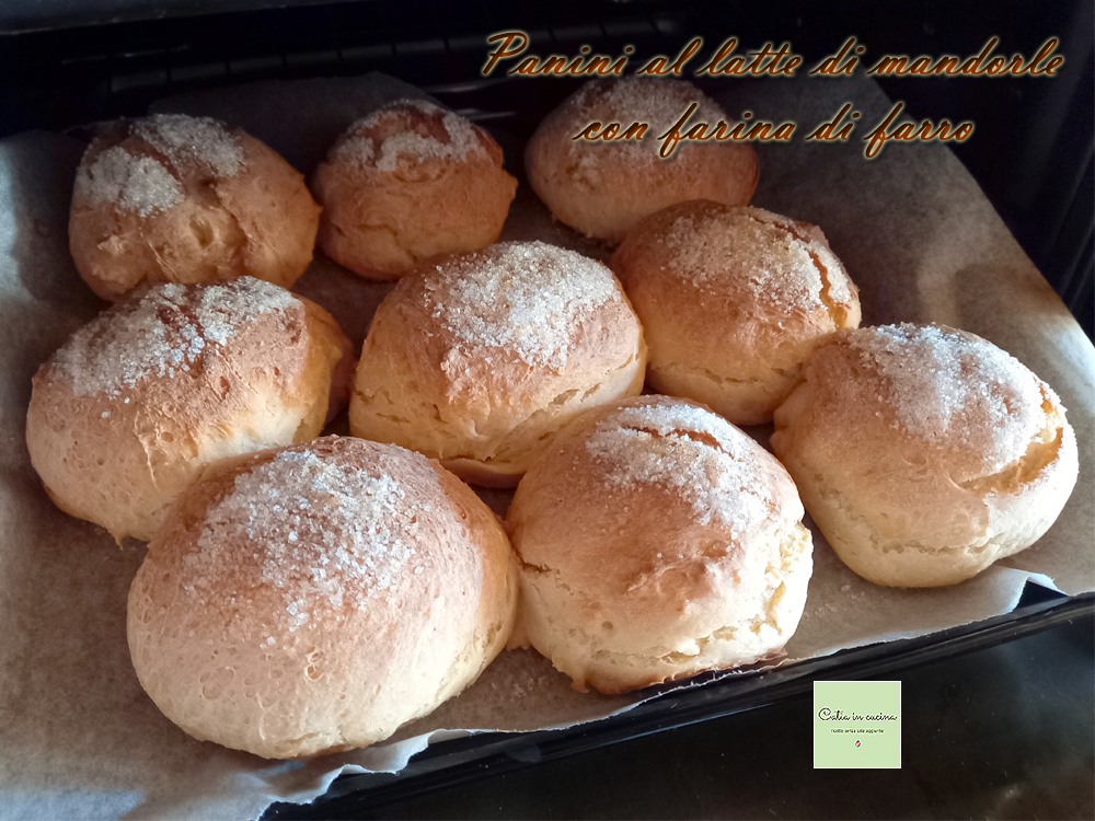bollos de leche de almendra con harina de espelta