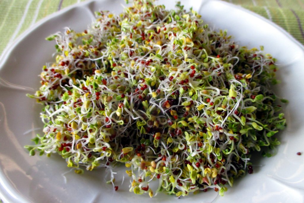 Brotes de brócoli caseros, Come sin Pancia