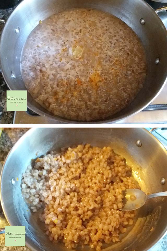 cebada cocción con leche de arroz