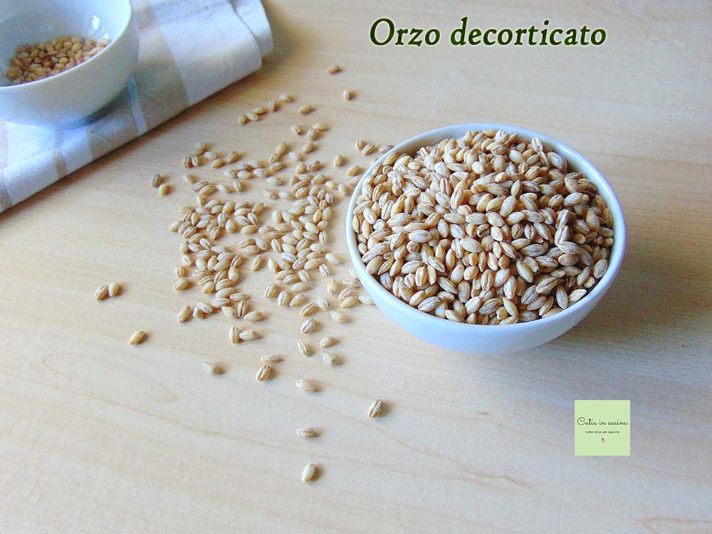 cebada descascarada en granos