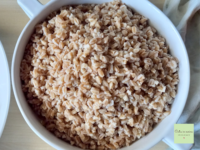 farro perlado cocido