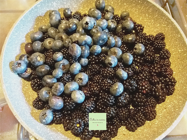 moras recogidas por Flavia y arándanos